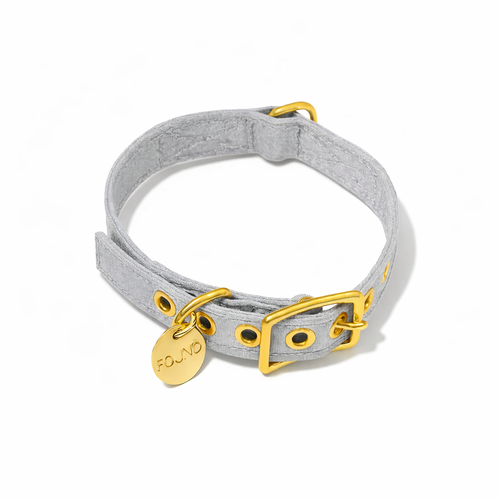 Gray Cotton Canvas Cat & Dog Collar