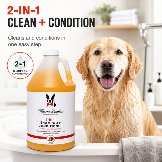 2-in-1 Shampoo + Conditioner - Coconut Scented - Professional Size