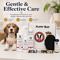 Load image into Gallery viewer, Warren London Puppy Bundle Gift Box
