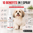 Load image into Gallery viewer, Southlake Paws 10-In-1 After Bath Spray in a spray bottle, with a happy dog and benefits listed on a vibrant background.
