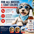 Load image into Gallery viewer, Southlake Paws Dog Sunscreen with Aloe Vera Moisturizer, featuring a dog in sunglasses on a beach, promoting sun protection f
