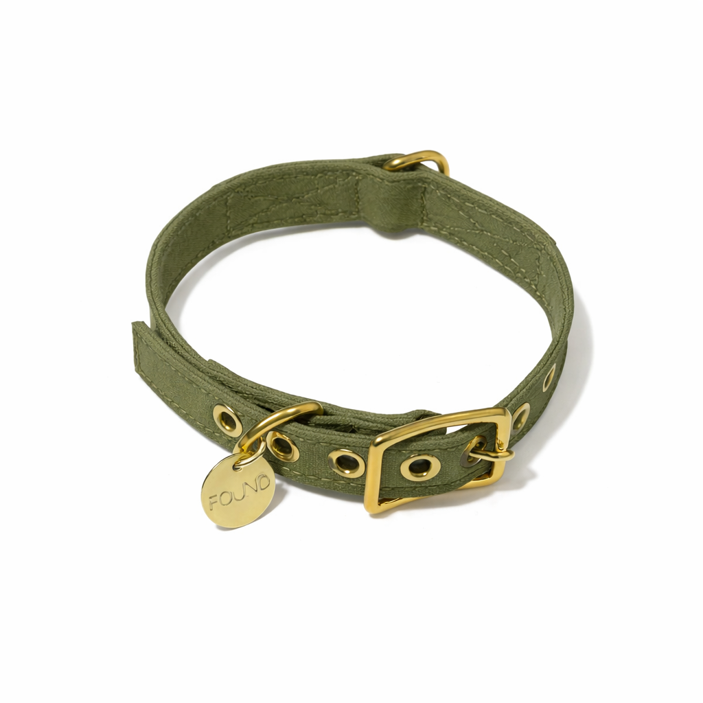 Olive Cotton Canvas Cat & Dog Collar