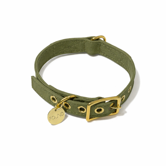 Olive Cotton Canvas Cat & Dog Collar