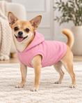 Load image into Gallery viewer, Blank Dog Hoodie
