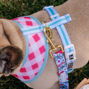 Frenchie Duo Reversible Harness - Cherries Blue