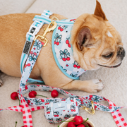 Frenchie Duo Reversible Harness - Cherries Blue