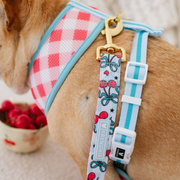 Frenchie Duo Reversible Harness - Cherries Blue