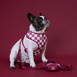Frenchie Duo Reversible Harness - Ruby