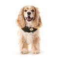 Load image into Gallery viewer, Chester Barn Coat
