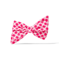 Load image into Gallery viewer, Chrishell Dog Babe Bow
