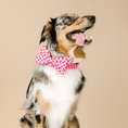 Load image into Gallery viewer, Chrishell Dog Babe Bow
