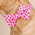 Load image into Gallery viewer, Chrishell Dog Bow Tie
