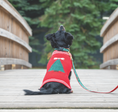 Load image into Gallery viewer, Christmas Tree Sweater
