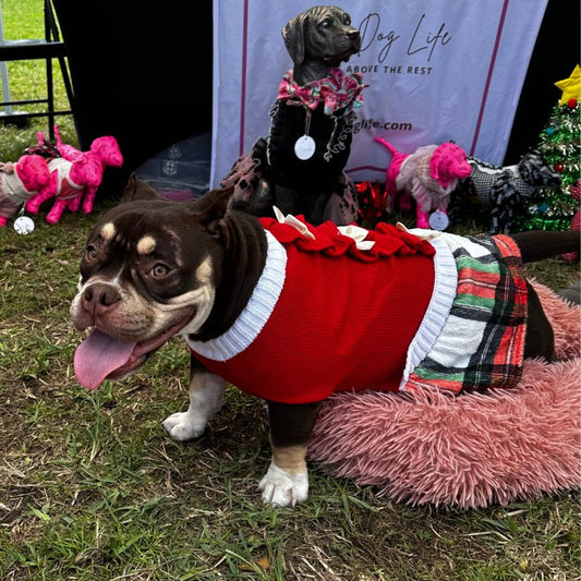 Red Christmas Bow Sweater Dog Dress - Southlake Paws