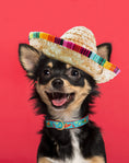 Load image into Gallery viewer, Cinco de Mayo Small Breed Dog Collar
