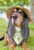 Load image into Gallery viewer, Citrus Blossom Lemon Dog Bandana
