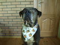 Load image into Gallery viewer, Citrus Blossom Orange Dog Bandana
