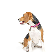 City Collar - Park Ave Pink