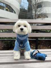 City Dog Leash - Denim