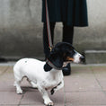 Load image into Gallery viewer, Classic Black Houndstooth Dog Collar
