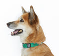 Load image into Gallery viewer, Dog Collar.

