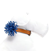 Cobalt Anemone Dog Collar