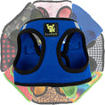 Load image into Gallery viewer, EcoBark Step In Dog Harness - XXXS to Small Breeds- Reflective Soft Mesh Harness for Teacup, Small Dogs and Puppies / Royal Blue
