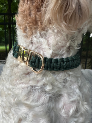 Cobra Braid in Emerald Green - Handmade Dog Collar - Southlake Paws