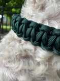 Load image into Gallery viewer, Cobra Braid in Emerald Green - Handmade Dog Collar - Southlake Paws
