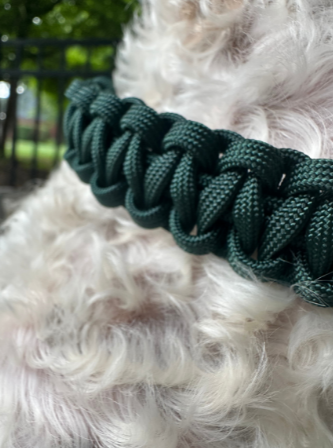 Cobra Braid in Emerald Green - Handmade Dog Collar - Southlake Paws