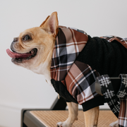 Frenchie Dog Hoodie - Cocoa Plaid