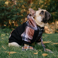 Load image into Gallery viewer, Frenchie Dog Hoodie - Cocoa Plaid
