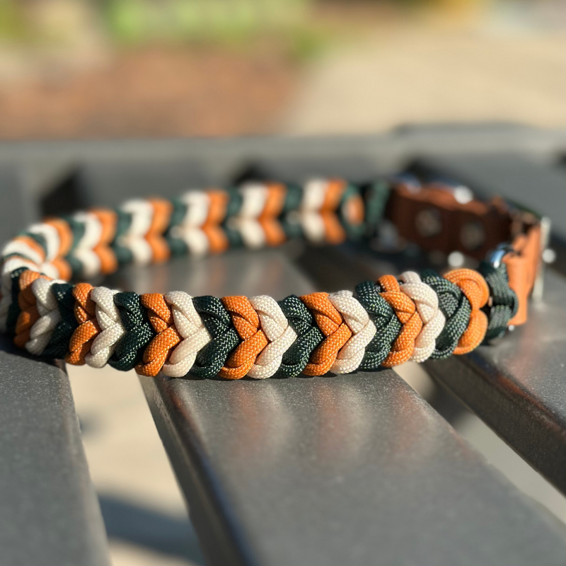 Coiled Charm Hand Braided Dog Collar in Hunter Green, Mustard, & Cream - Southlake Paws
