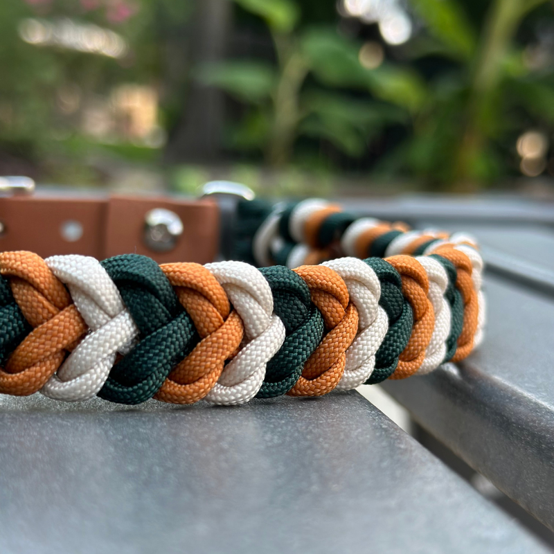 Coiled Charm Hand Braided Dog Collar in Hunter Green, Mustard, & Cream - Southlake Paws