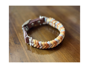 Coiled Charm Hand Braided Dog Collar in Mustard, Goldenrod, & Light Tan
