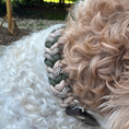 Load image into Gallery viewer, Coiled Charm Hand Braided Dog Collar in Olive, Light Tan, & Coyote Brown Diamonds - Southlake Paws

