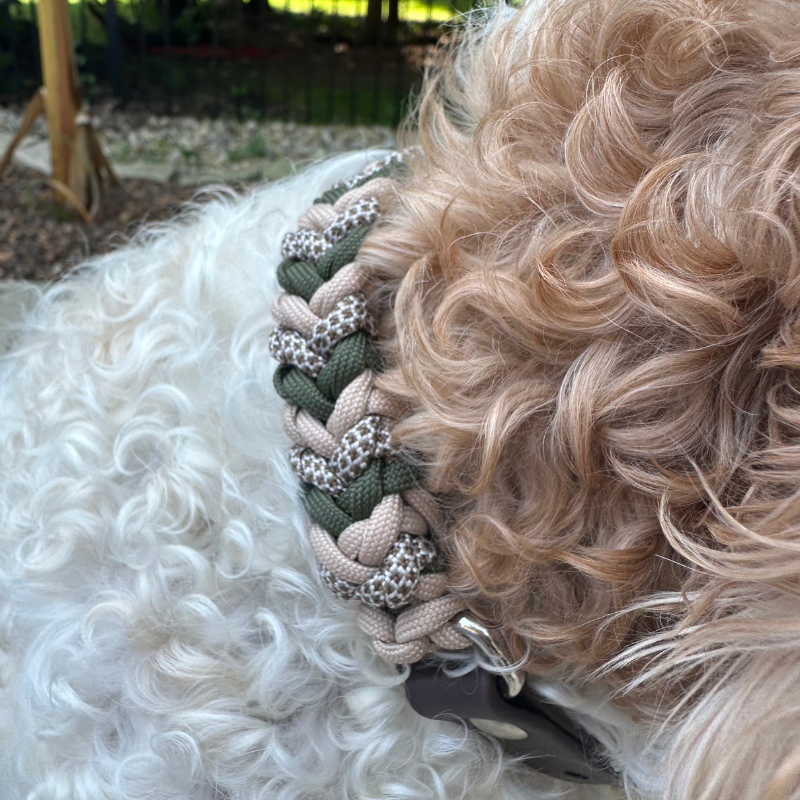 Coiled Charm Hand Braided Dog Collar in Olive, Light Tan, & Coyote Brown Diamonds - Southlake Paws