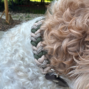 Coiled Charm Hand Braided Dog Collar in Olive, Light Tan, & Coyote Brown Diamonds