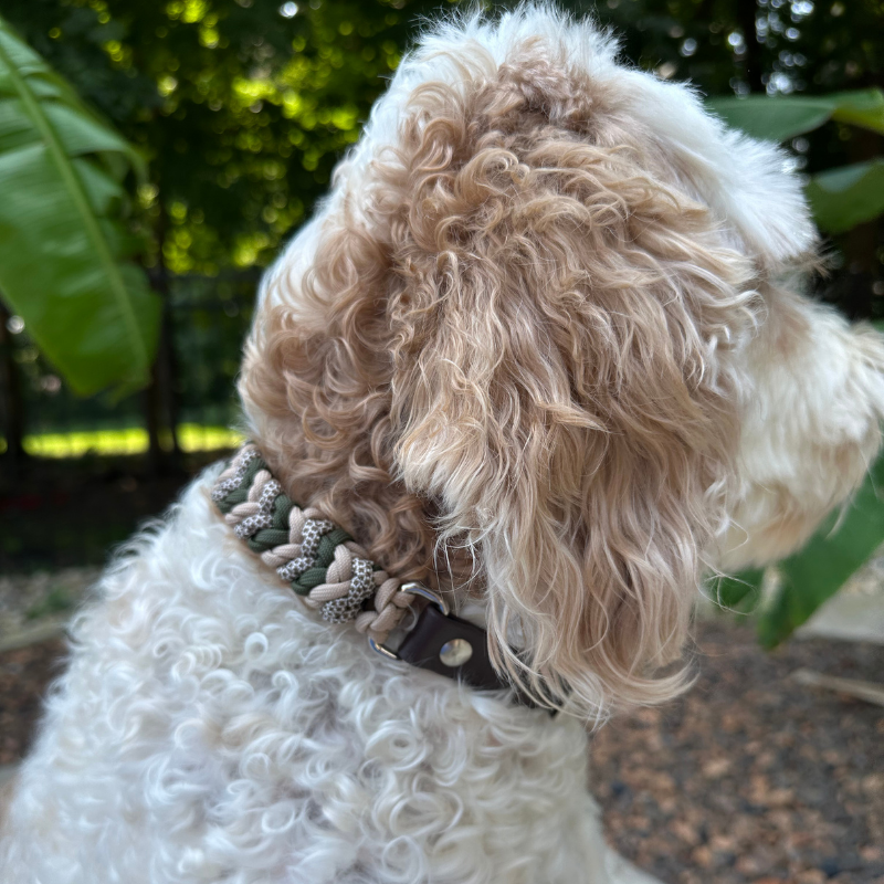 Coiled Charm Hand Braided Dog Collar in Olive, Light Tan, & Coyote Brown Diamonds - Southlake Paws