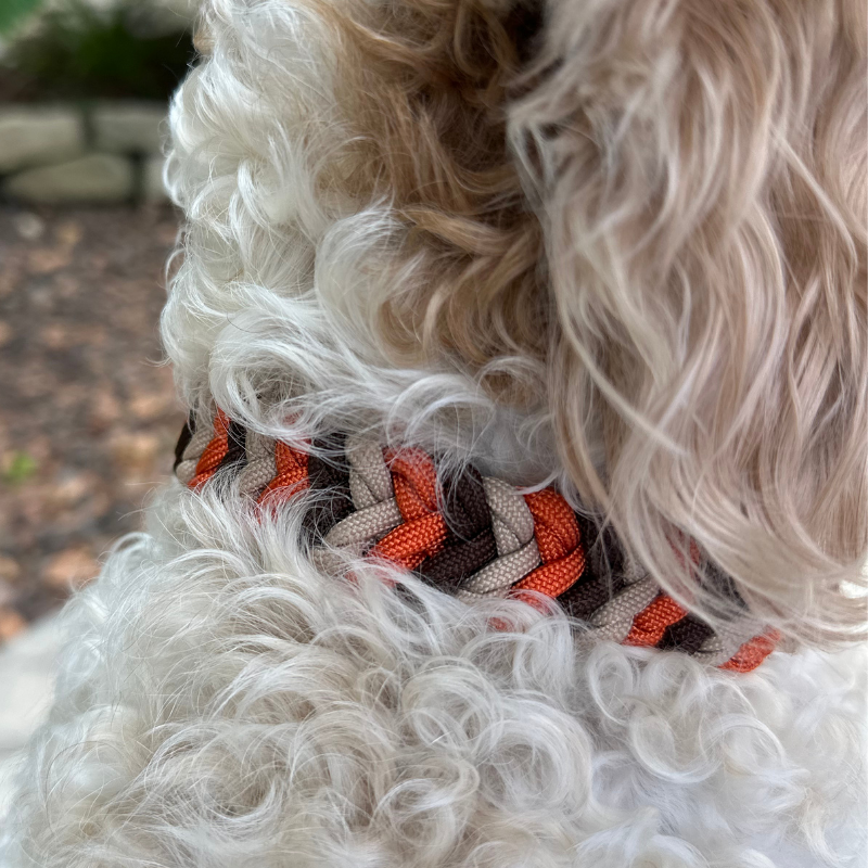 Coiled Charm Hand Braided Dog Collar in Burnt Orange, Walnut Brown, & Light Tan - Southlake Paws