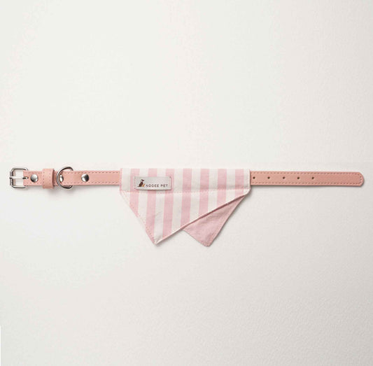 Nooee Pet Collar Daisy