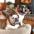 Load image into Gallery viewer, Colorado and Texas Dog Collars, Leads, and Bows - 5 Styles
