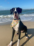 Load image into Gallery viewer, Colorful Surfboards
