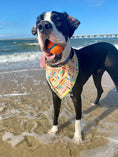 Load image into Gallery viewer, Colorful Surfboards

