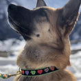 Load image into Gallery viewer, Colorful Hearts Dog Collar
