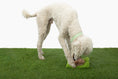 Load image into Gallery viewer, Hollywoof Nose Work Dog Toy - Southlake Paws
