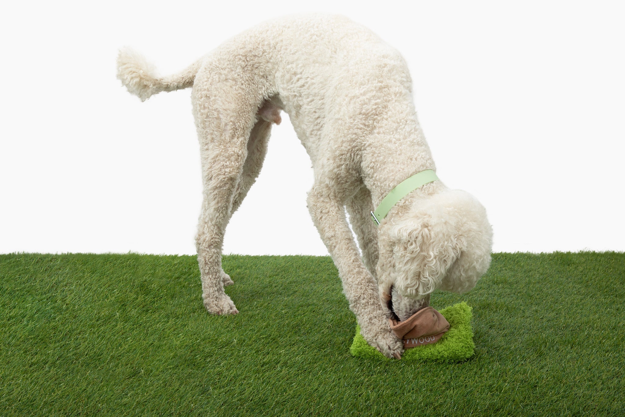 Hollywoof Nose Work Dog Toy - Southlake Paws