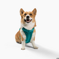 Load image into Gallery viewer, Harness - Southlake Paws
