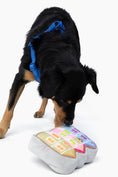 Load image into Gallery viewer, Painted Ladies Nose Work Dog Toy - Southlake Paws
