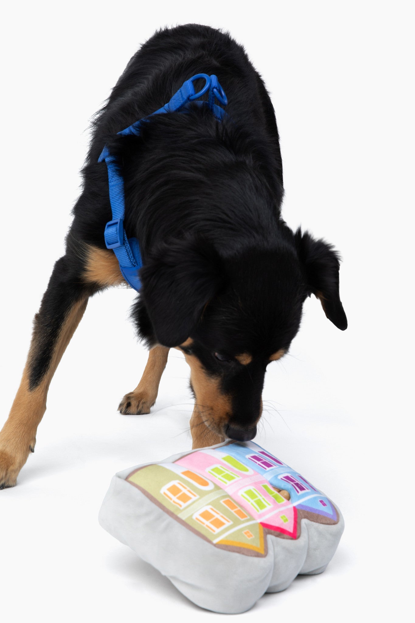 Painted Ladies Nose Work Dog Toy - Southlake Paws